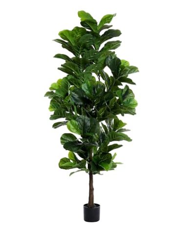 FLOWORLD Fiddle Leaf Fig Tree 6ft Tall Artificial Tree in Plastic Pot Fake Ficus Lyrata Plants with 184 Decorative Fiddle Leaves Faux Fig Trees for Home Office Living Room Decor Indoor Outdoor
