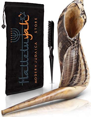 HalleluYAH Shofar 16"-18" - KOSHER ODORLESS Ram Horn Shofar | Smooth Mouthpiece | Includes Velvet Bag, Clean Brush & Guide