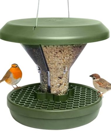 SWISSINNO No Mess Bird Feeder Davos Smart Birds - No Spill Bird Feeder for Outdoor - Secure Design - Robust & Reliable for Hanging - Dual Food Chambers - Green