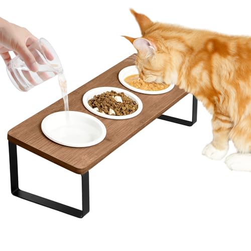 Version 1.0.0 Version 1.0.0