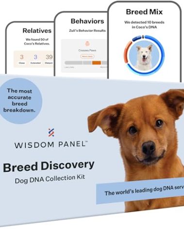 Wisdom Panel Breed Discovery Dog DNA Kit: Most Accurate Dog Breed Identification, Test for 365+ Breeds, MDR1 Health Test, Ancestry, Relatives