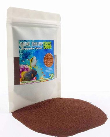BNYEE Brine Shrimp Eggs for Aquatic Foods Baby & Fry Foods The Popular 90% Hatch GSL Brine Shrimp Eggs (0.5 OZ)
