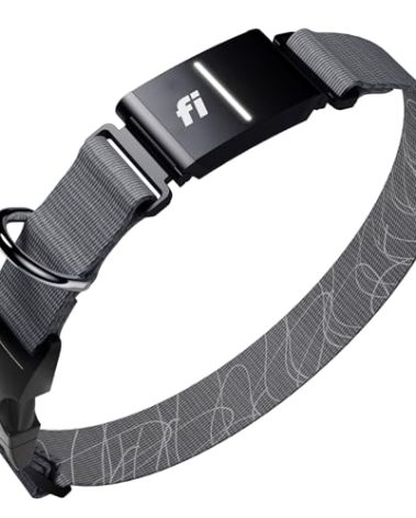 New Fi Series 3+ Smart Dog Tracker Collar [6 Month Membership Included] GPS Tracker for Dogs with Health & Behavior Monitoring, Escape Alerts, Waterproof, LED, Apple Watch Compatible (Gray, Large)
