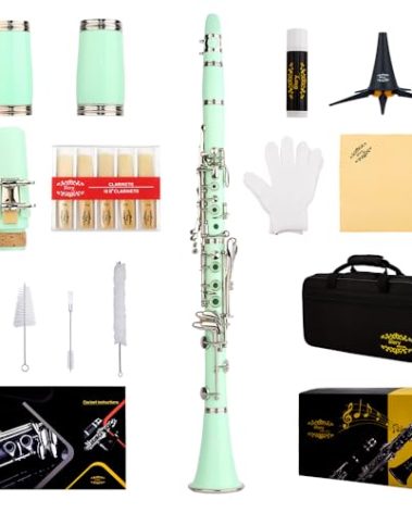 Glory GLY-CLAGN Professional Ebonite Bb Clarinet with 10 Reeds, Stand, Hard Case, Cleaning Cloth, Mouthpiece Brush and Pad Brush,Green