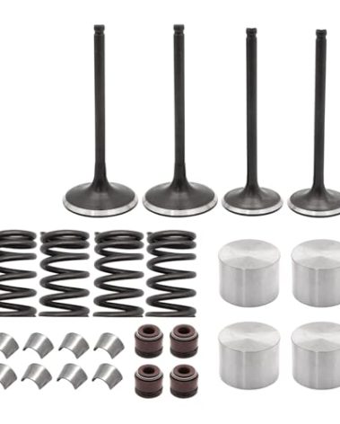 JAVIK Intake Exhaust Engine Valve Seal Spring Kit for Suzuki Quadsport 400 Z400 LTZ400 2003-2014, O.E.M# 12911-29F00 12912-29F00 09289-05011 12891-02F00