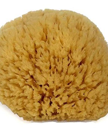 Natural Sea Sponge 6-7" by Spa Destinations Creating The at-Home Spa Experience