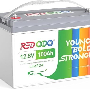 Redodo 12V 100Ah LiFePO4 Battery, Rechargeable Lithium Iron Phosphate Battery, Built-in 100A BMS, 4000-15000 Deep Cycles & 10-Year Lifetime, Perfect for RV, Camping, Solar Home etc.