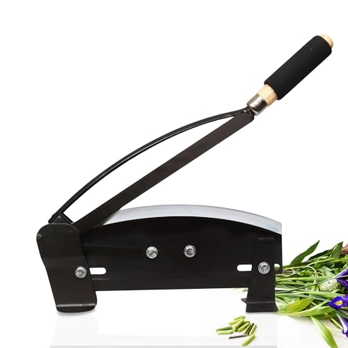 Version 1.0.0 Version 1.0.0