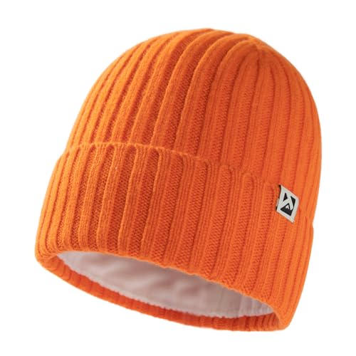 Version 1.0.0 Version 1.0.0