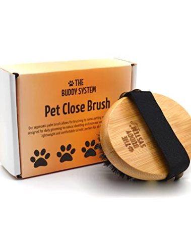 The Buddy System Pet Close Brush, Soft Touch Oval Palm Brush - Bamboo Massage Handheld with Soft Boar Bristles and Elastic Band for Dogs and Cats