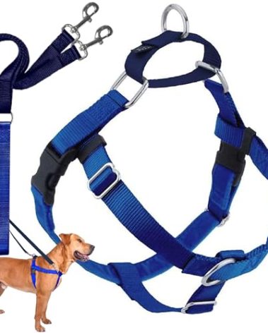 2 Hounds Design Freedom No Pull Dog Harness, Adjustable Harness and Leash Set, Easy Walking & Comfortable Control, Fits Small, Medium & Large Dogs, Solid Colors, Made in USA, 1" LG, Royal Blue