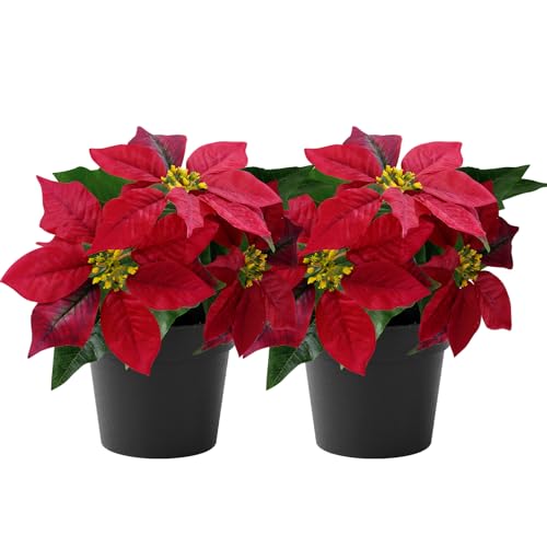 Version 1.0.0 Version 1.0.0