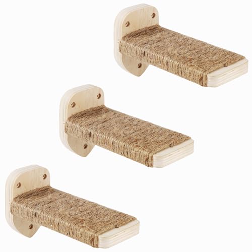 Version 1.0.0 Version 1.0.0