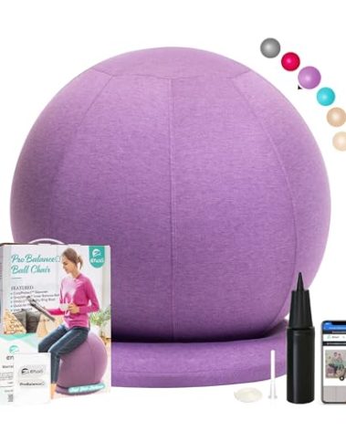 ENOVI ProBalanceΩ Yoga Ball Chair, Exercise Ball with Slipcover and Base for Office and Home, Birthing and Pregnancy, 65cm, AP