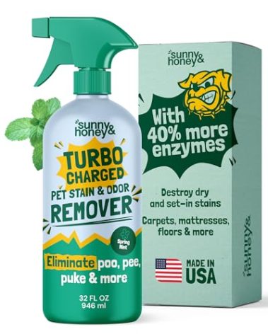 Sunny & Honey Carpet Cleaner Spray - 32 Fl Oz, Spring Mint - 40% More Enzymes & Carpet Stain Remover - Pet Urine Enzyme Cleaner & Floor Deodorizer - Pet & Kid Safe Rug Cleaner