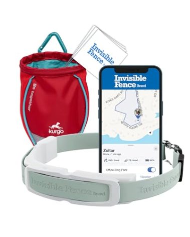 PetSafe Invisible Fence GPS Dog Fence & Tracking Collar Bundle - Wireless GPS Tracker Collar with Red Training Flags & Treat Bag - Waterproof - Medium & Large Dogs - 1 Year Subscription Included