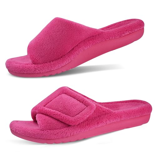 Version 1.0.0 Version 1.0.0