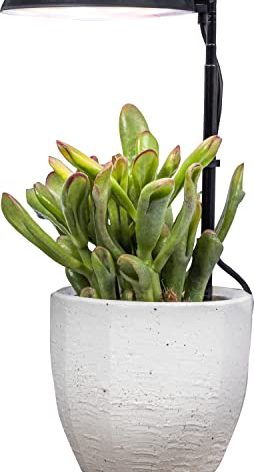 AeroGarden Stem Grow Light for Indoor Plants, Grow Live Plants Anywhere in the Home, Adjustable Light Modes, Black