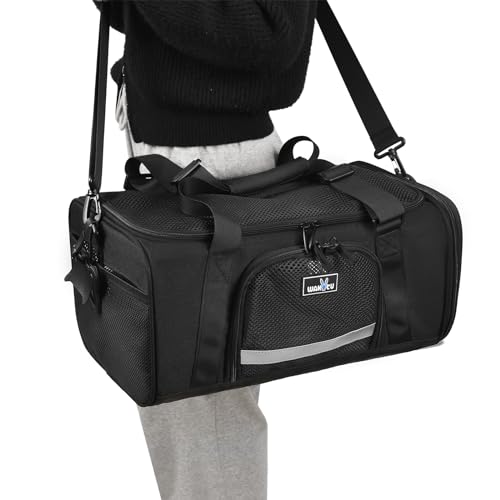 Version 1.0.0 Version 1.0.0