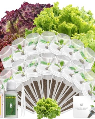 Red Romaine Lettuce Seed Pod Kits for AeroGarden, Ahopegarden, iDOO Hydroponics Growing System Indoor Herb Garden, 400+ Seeds, Including American Fast Lettuce, Red Romaine Lettuce(16-Pods)