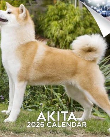 2025 2026 Akita Calendar - Dog Breed Monthly Wall Calendar - 12" x 24" Open - Thick No-Bleed Paper - Giftable - Academic Teacher's Planner Calendar Organizing & Planning - Made in USA