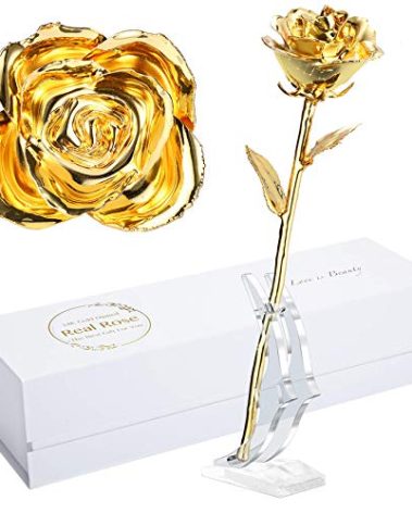 24K Golden Rose, Gold Dipped Rose Made from Real Rose Best Gifts for her and Great Gifts for My Wife, Golden with Stand