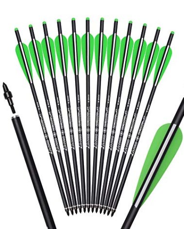 Crossbow Bolts Carbon Arrows 22 Inch Hunting Archery Bio Crossbow Arrows with Moon Nocks 100 Grain Removable Tips (Pack of 12)