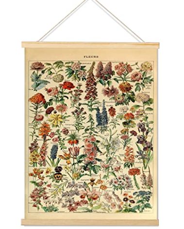 Armindou Vintage Flowers Poster Prints, Cottagecore Plant Floral Reference Chart Canvas Art Wall Decor, Rustic Botanical Fleurs Hanging Posters for Bedroom Room Aesthetic Decors Frame,16 x 22 Inches