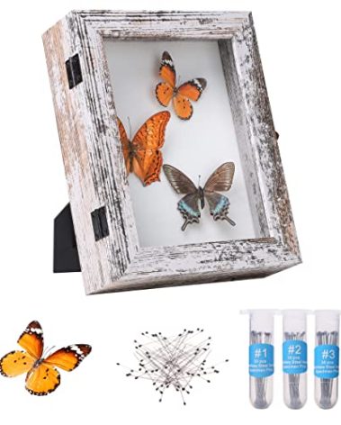 IHEIPYE Insect Display Case Wall Mount Bug Display Case with Anti Fade UV Protection Acrylic Top Eva Foam Pinning Board and 3 Size Pins Shadow Box for Bug Butterfly Insect Specimen Collection Display