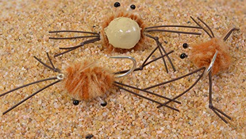 Version 1.0.0 Version 1.0.0