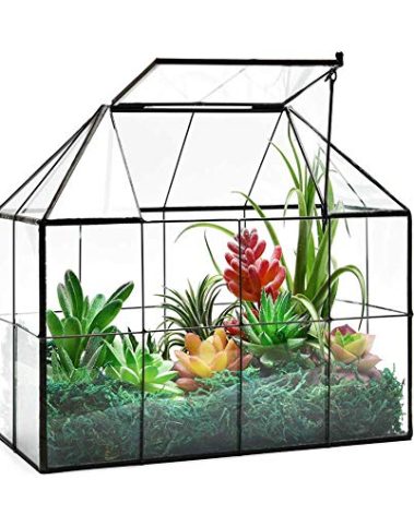 Large Glass Terrarium House Planter – Succulent Plant Glass Greenhouse with lid 9.8"X7.9"X5.9" NA
