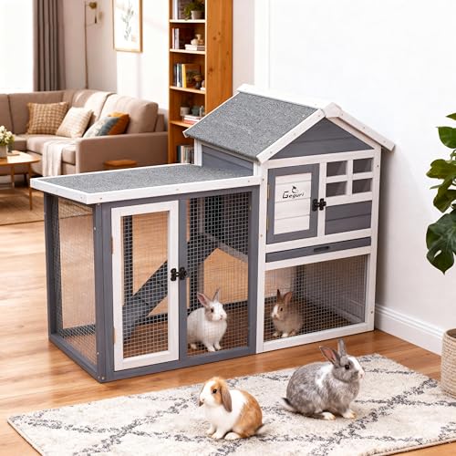 Version 1.0.0 Version 1.0.0