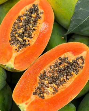 NiRwa 50pcs Red Heart Creamy Papaya Seeds - The Best of Papayas for Your Home Garden - Rich, Sweet, and Nutrient-Packed Fruits