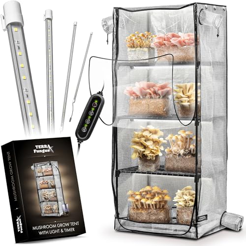 Version 1.0.0 Version 1.0.0