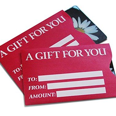 Gift Card Sleeve - Red Basic (100 Pack)