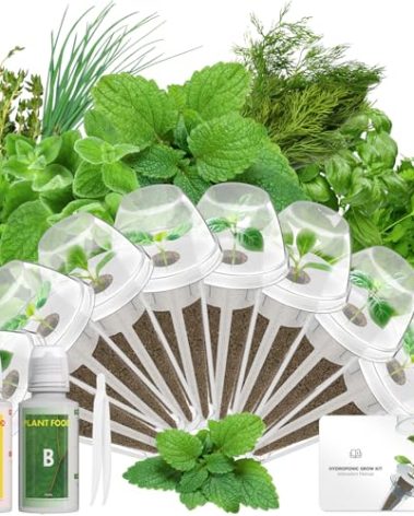 Gourmet Herb Seed Pod Kit Compatible with AeroGarden, idoo, Ahopegarden, Gardencube with Basil, Parsley, Thyme, Mint, Cilantro, Dill, Oregano, Chives - Compatible with All Hydroponics(8-Pod)