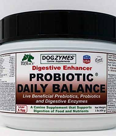 Dogzymes Probiotic Daily Balance - Supplies Nutritional Support and Live microorganisms for intestinal Well-Being as Well as enzymes for Proper Digestion. Liver and Egg Base. (1 Pound)