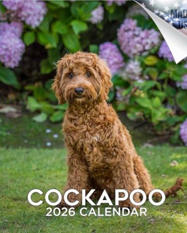 2025 2026 Cockapoo Calendar - Dog Breed Monthly Wall Calendar - 12" x 24" Open - Thick No-Bleed Paper - Giftable - Academic Teacher's Planner Calendar Organizing & Planning - Made in USA