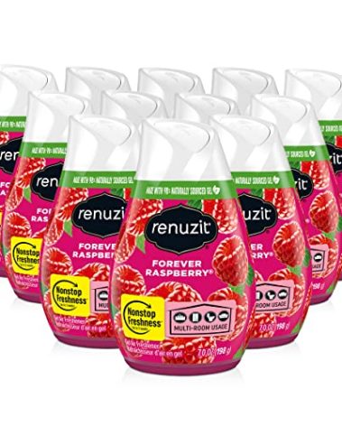 Renuzit Gel Air Freshener, Forever Raspberry, 12 Count