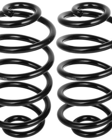 ECCPP Coil Springs Suspension Coil Spring Set for 2012-2017 for Buick Verano, 2011-2015 for Chevy Cruze, 2016 for Chevy Cruze Limited Coil Springs for 81691 2PCS Rear Coil Springs
