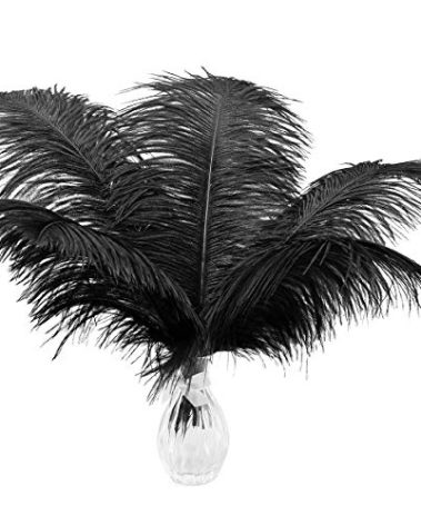Ballinger Black Large Ostrich Feathers - 24Pcs 12-14inch Large Feathers for Vase,Gatsby and Halloween Party Centerpieces