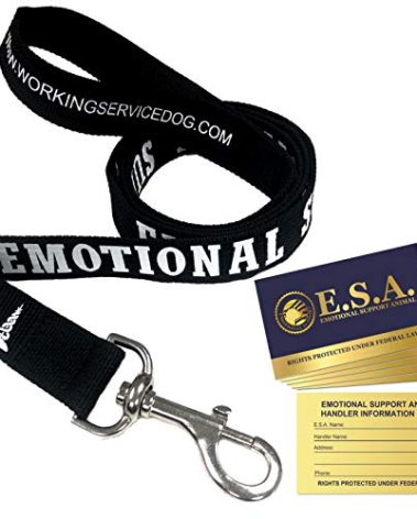 Emotional Support Dog Leash | Easy Identification with or Without an Emotional Support Animal Vest | Includes 5 ESA Information Cards