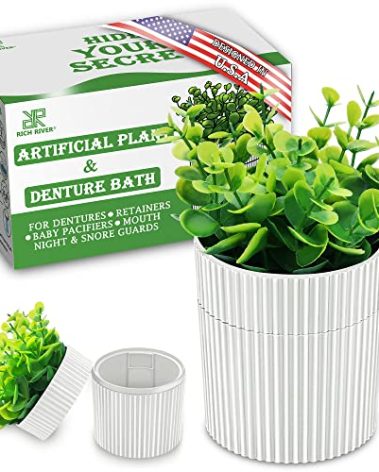 Denture Bath, Invisible Denture Case Designed As Artificial Eucalyptus Potted Plants, Denture Cup With Strainer For Retainer, Mouth Guard & Dentures, Perfect For Home Decoration…