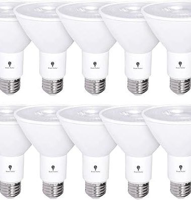 10 Pack PAR30 Outdoor LED Flood Light Bulb 12W 100 Watt Equivalent 900 Lumens Dimmable Waterproof E26 4000K Cool White LED Flood Light Bulbs for Security Spotlight Bulb Led Recessed Light Bulbs