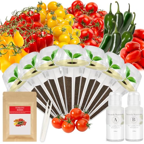 Version 1.0.0 Version 1.0.0