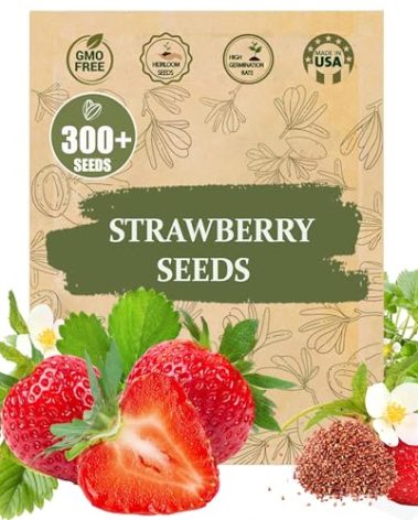 Rare Strawberry Seeds for Planting – 300 Non-GMO Heirloom Seeds - Extra Big, Juicy, Sweet Strawberries
