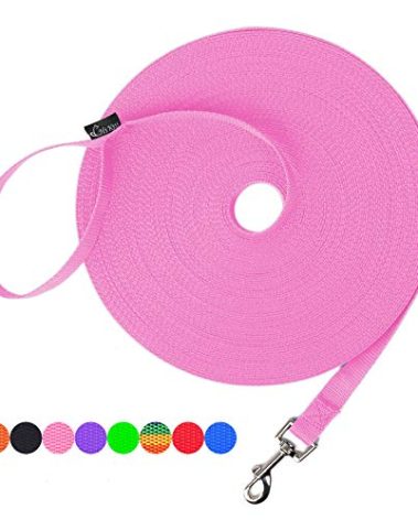 Hi Kiss Dog/Puppy Obedience Recall Training Agility Lead - 15ft 20ft 30ft 50ft 100ft Training Leash - Great for Training, Play, Camping, or Backyard - Pink 20ft