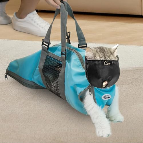 Version 1.0.0 Version 1.0.0