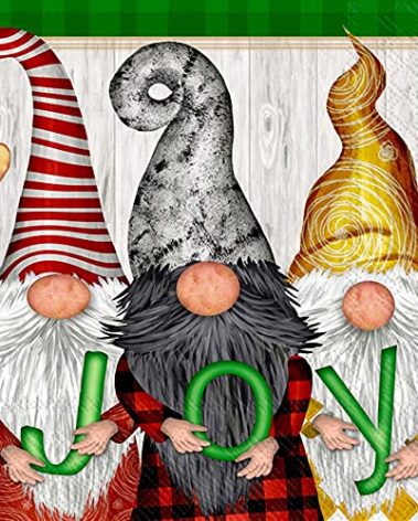 IHR Ideal Home Range Cocktail Napkins Disposable 3-Ply Paper Party Napkin Pack, 5" x 5", Gnome Joy, 20-Count