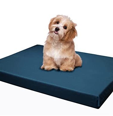 Dogbed4less Memory Foam Platform Dog Bed, Crate Mattress for Orthopedic Joint Relief with Waterproof Removable Cover Medium Large 34X27X3 Pacific Blue